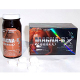 MAGNA-RX�y�j�X�����