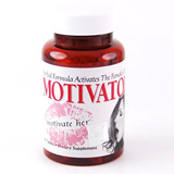 ���`�x�[�^�[�iMotivator�j