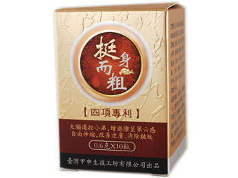 ��g���o(�����オ��) �������͍�