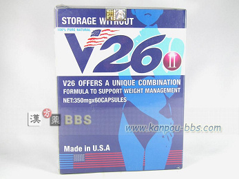 V26�U�����_�C�G�b�g�T�v��