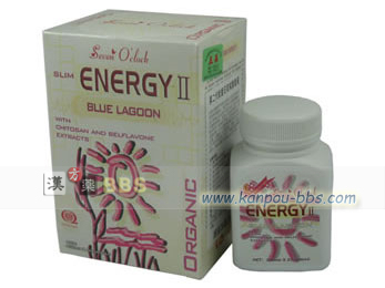 SlimEnergy(�X�����G�i�W�[)II